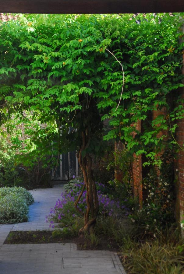 Bed and Breakfast Nostra Signora Brugia Zewnętrze zdjęcie